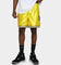 19Nine Michigan Legacy Shorts Yellow