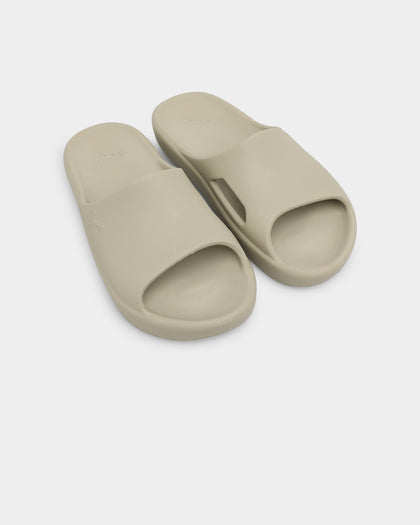 Puma Shibui Cat Birch