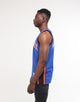 Mitchell & Ness New York Knicks Nate Robinson #4 Swingman Jersey Royal