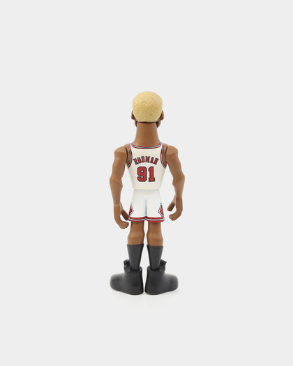 POP! Vinyl Gold Legends: Hardwood Classics Dennis Rodman Chicago Bulls Premium 5" Figure Multi-Coloured