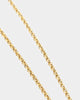 NXS Tag Chain Gold