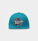 Mitchell & Ness Detroit Pistons 'Team Ground 2.0 Hardwood Classics' Fitted Teal
