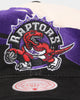 Mitchell & Ness Toronto Raptors 'Cream Paintbrush' Deadstock Snapback Cream