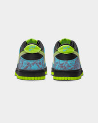 Nike Kids' Dunk Low SE (GS) Multi-Coloured