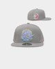 Mitchell & Ness Toronto Raptors 'Til Dawn' Fitted Grey