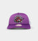 Mitchell & Ness Toronto Raptors 'NBA Off The Backboard' Trucker Snapback Purple