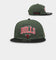 New Era Chicago Bulls 'Stencil Script' Golfer Snapback Cilantro Green/Black