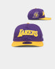 New Era Los Angeles Lakers 'Chenille' Golfer Snapback Purple